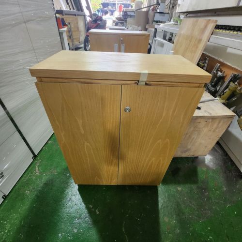 Tủ Hồ Sơ Thấp THST12.jpg