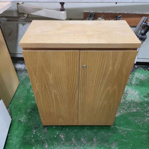 Tủ Hồ Sơ Thấp THST12.jpg